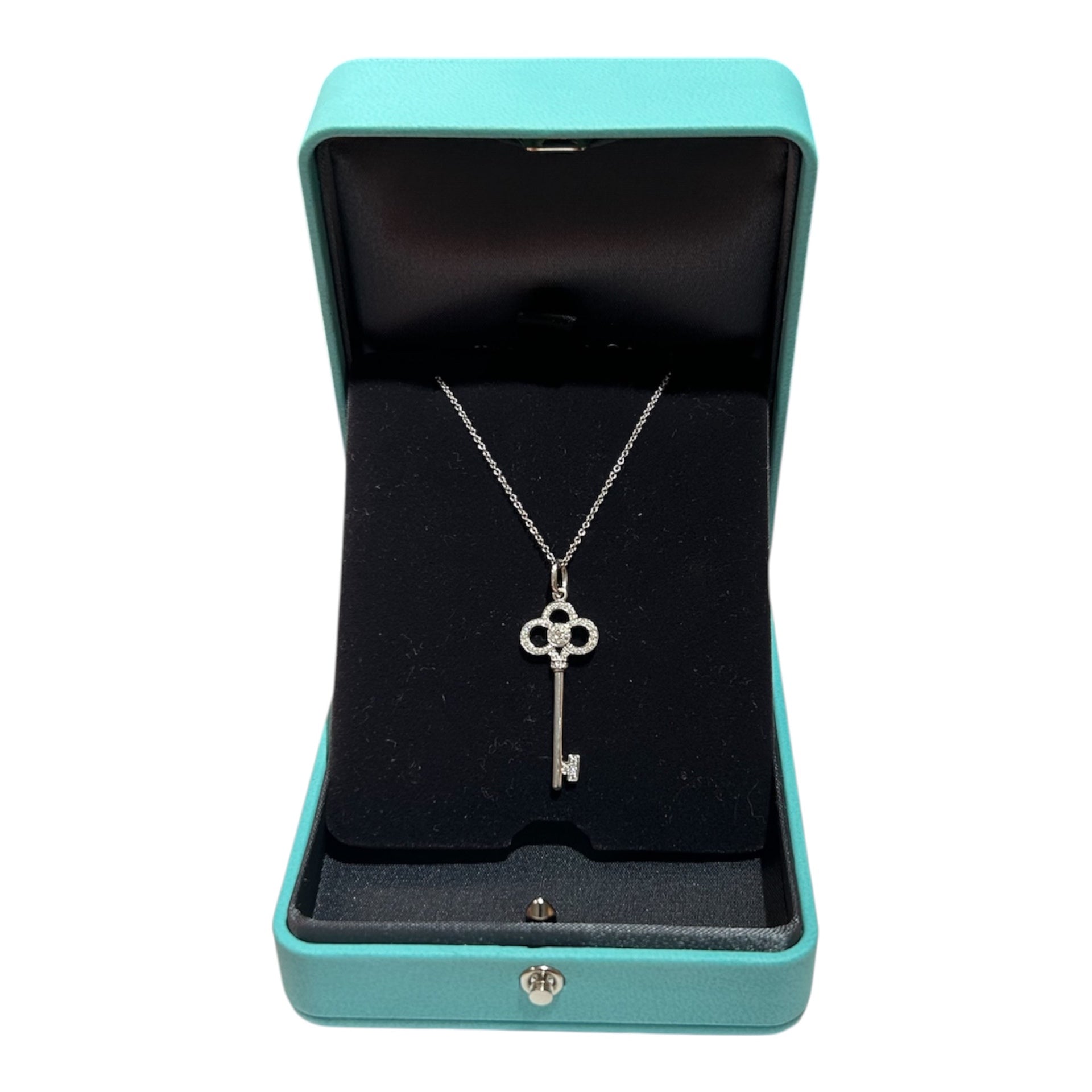 Tiffany&Co Accesorios Silver